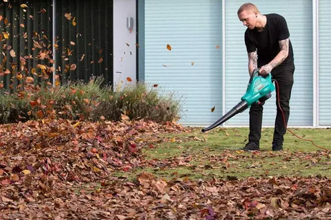 Honda leaf blowers Brisbane