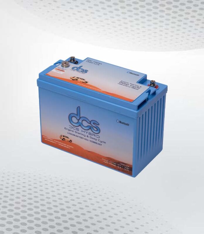 group 24 deep cycle battery